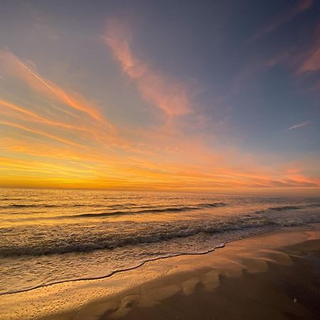 The Molloy - Treasure Island Suites & Cottages St. Pete Beach Eksteriør billede