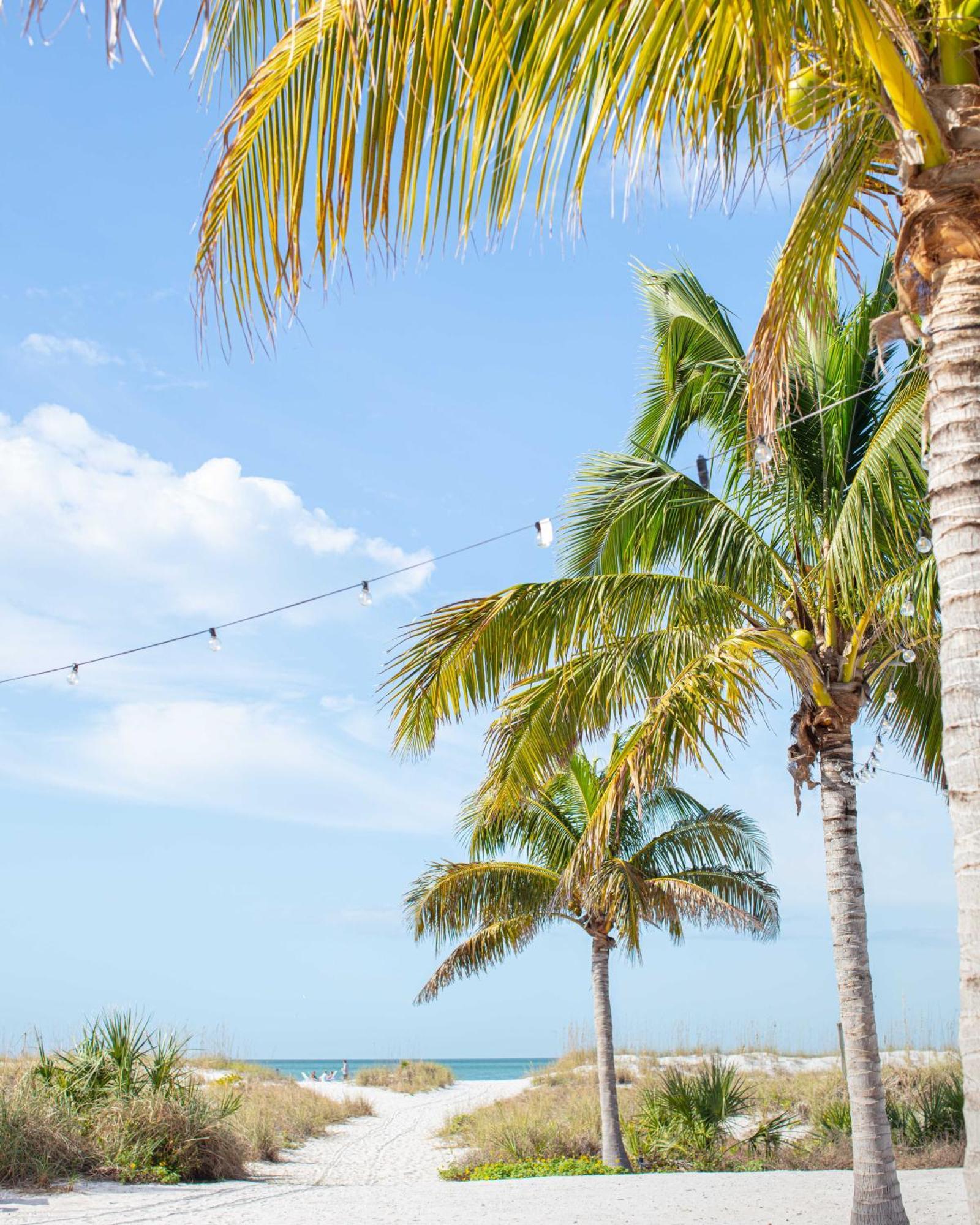 The Molloy - Treasure Island Suites & Cottages St. Pete Beach Eksteriør billede